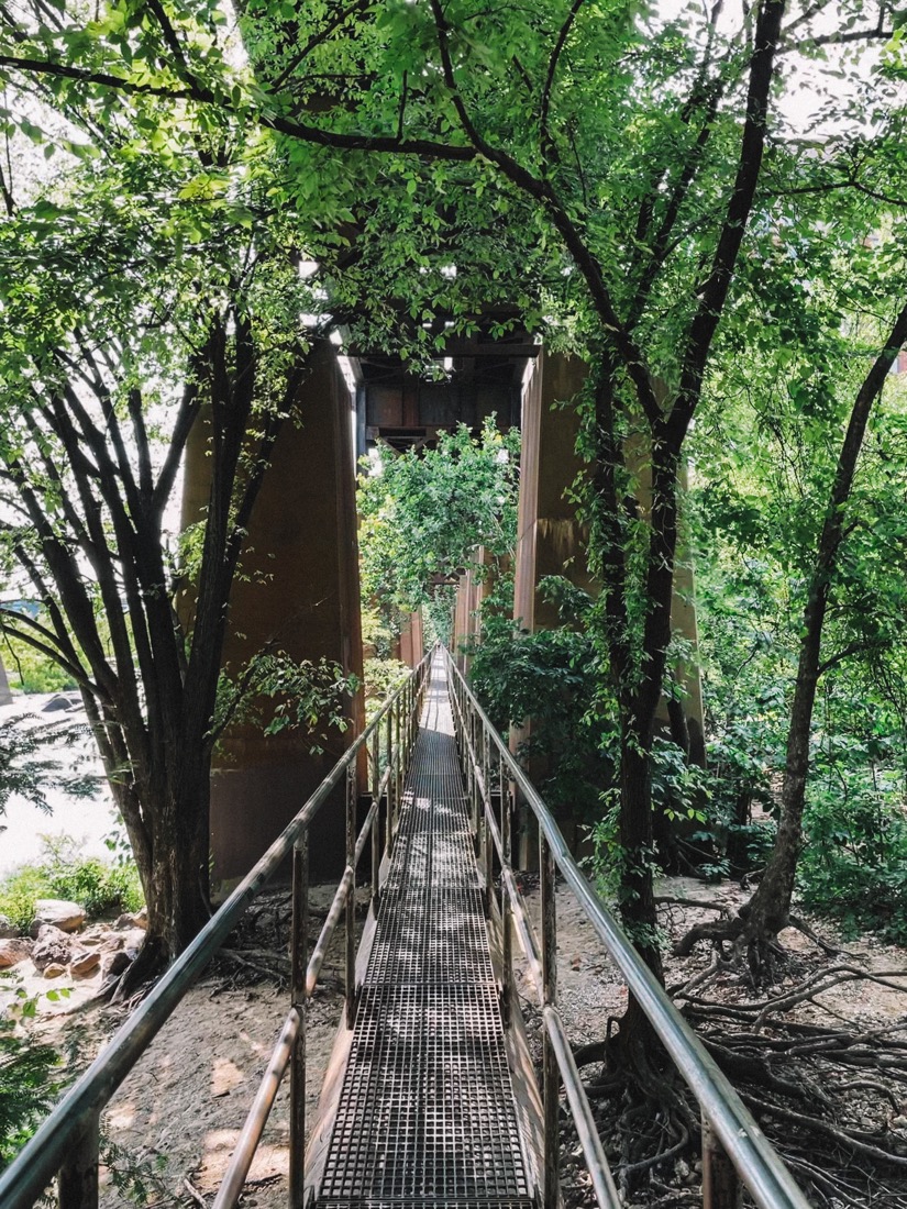 Leafy green The Pipeline tree bridge in Richmond VA