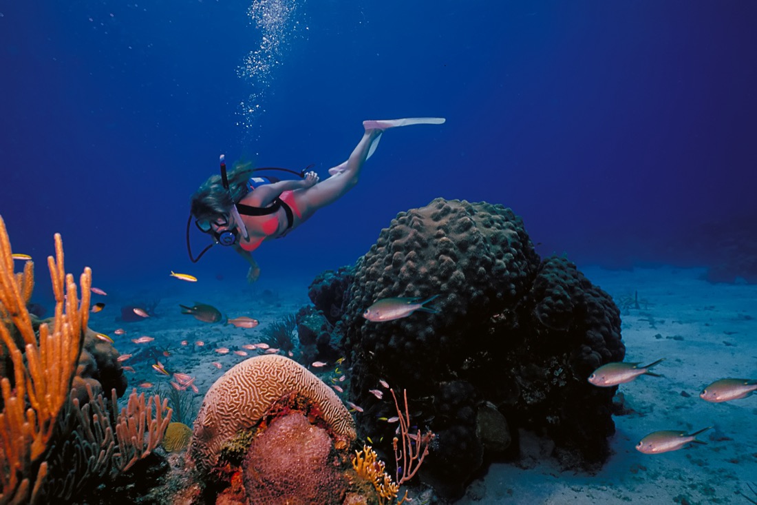 St Croix Scuba Diver on Scenic Reef.