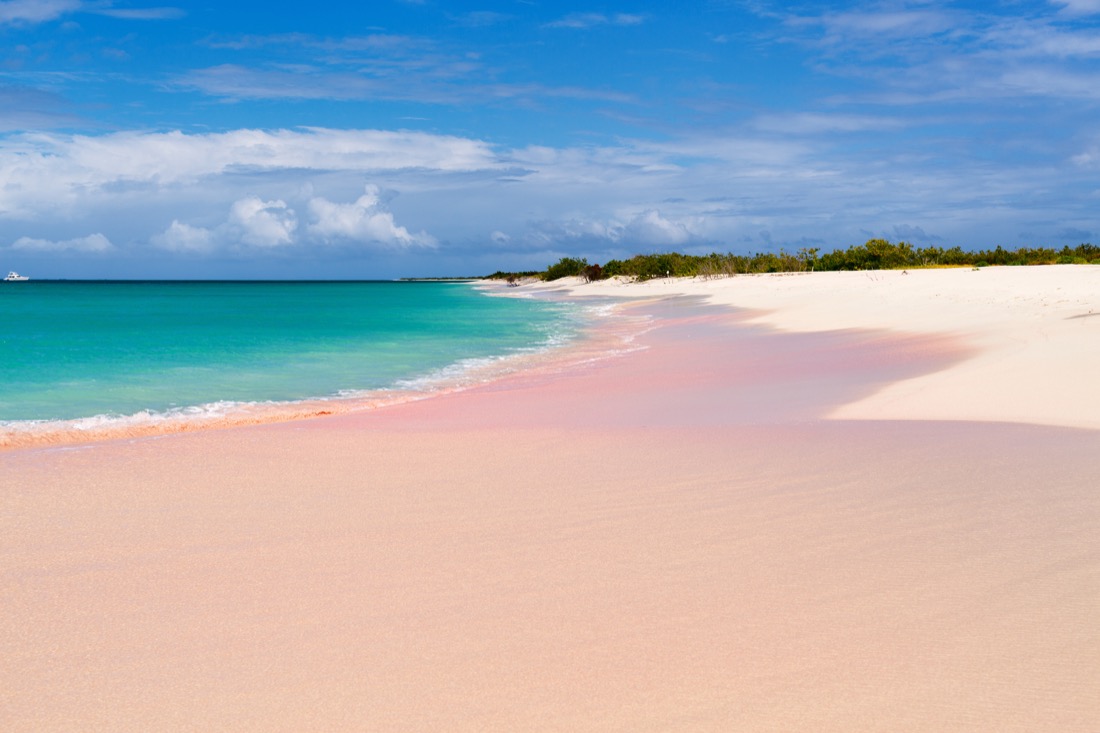 Tropical beach with pink tones on Barbuda island