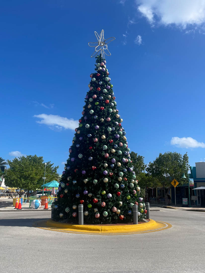Christmas tree at Commercial Blvd Lauderdale By The Sea Florida