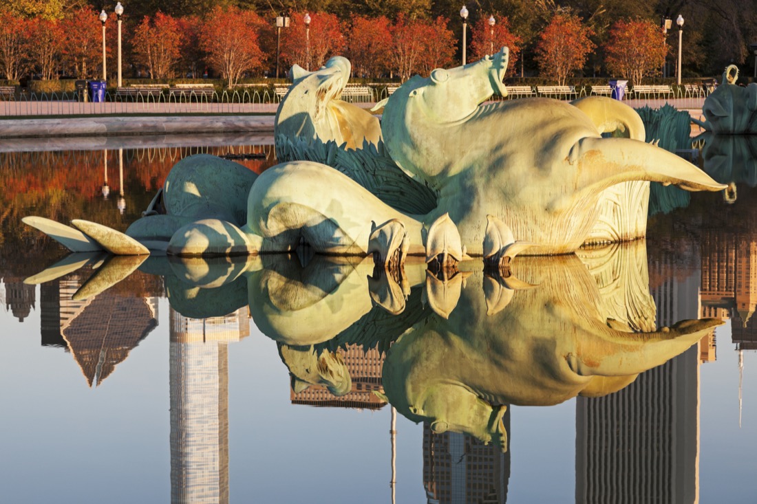 Orange fall trees with Buckingham Fountain Grant Park in Chicago