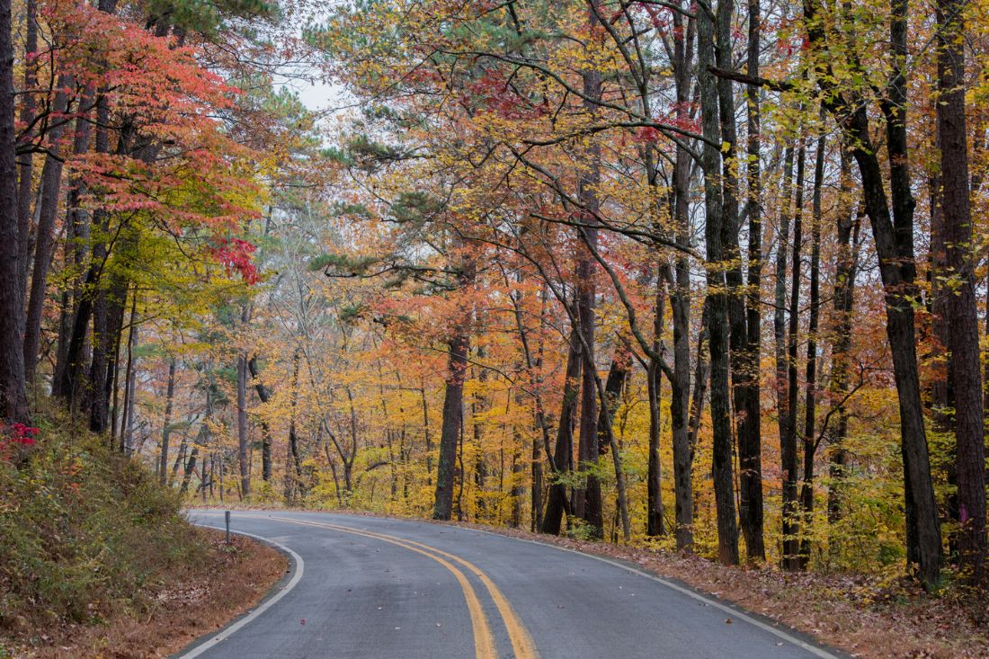 Trail at the Ozark National Forest, Arkansas in the fall