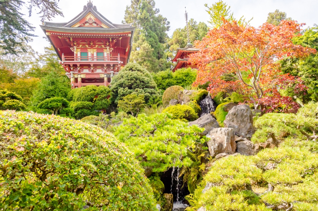 Temple surrounded by fall trees at San Francisco Tea Garden