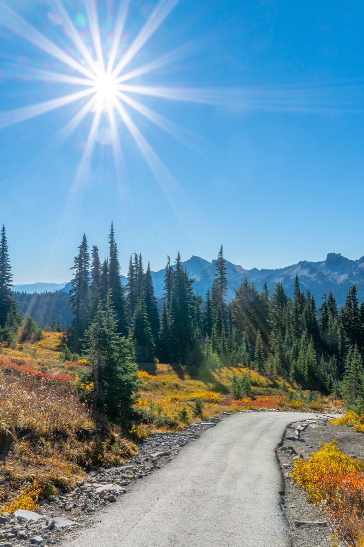 Path leading through fall color trees at Mount Rainier Washington