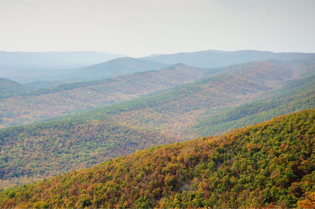 Mountain ridges and fall colors in Ouachita National Forest