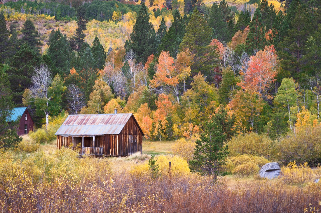 Rustic barn with fall colors around it at Hope Valley California