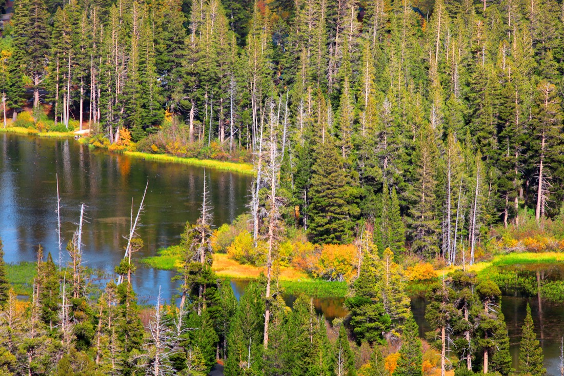 Twin lakes aerial view near Mammoth lakes