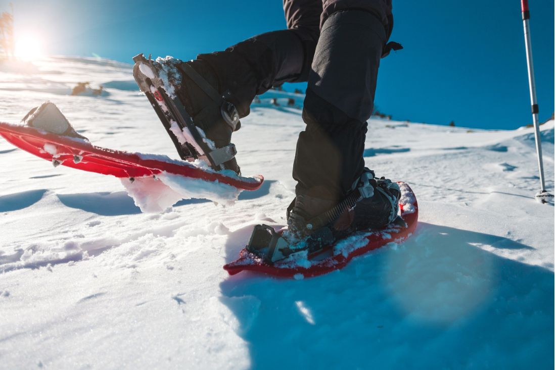 Picture of snowshoes in winter