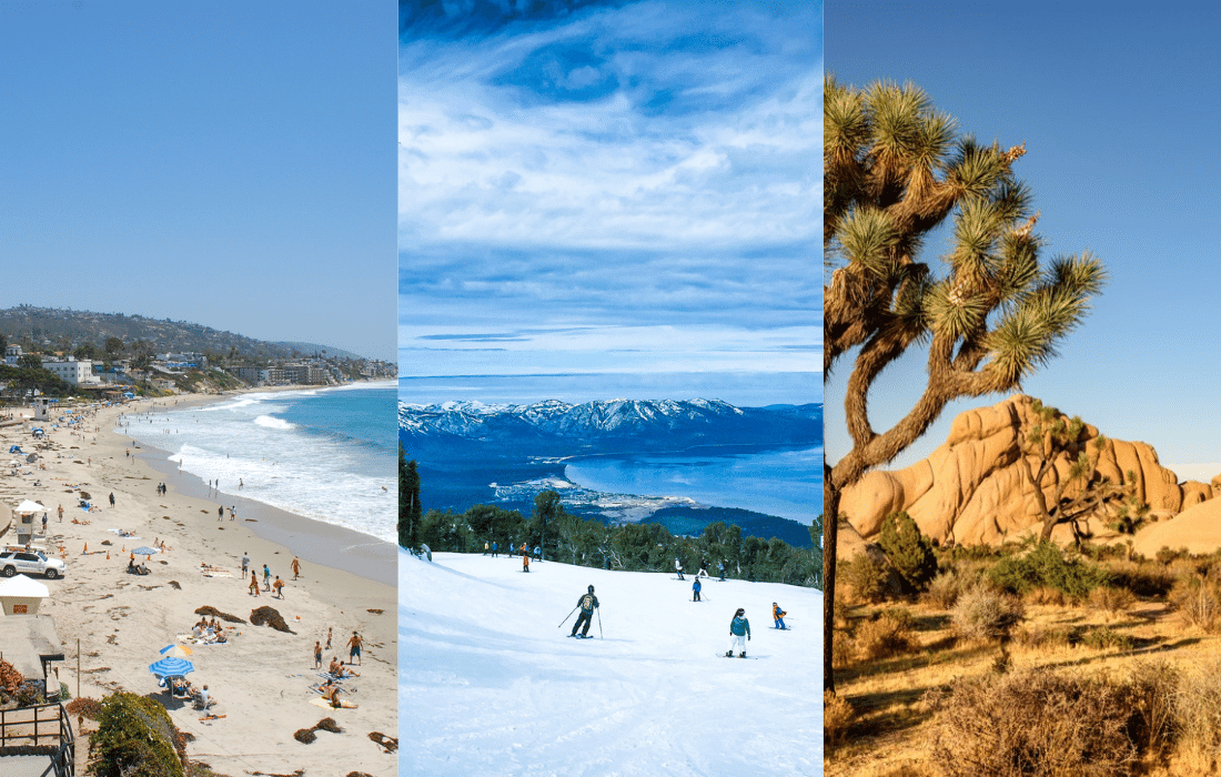 Images of California in December image one beach landscape image two people skiing image three Joshua Tree arid desert
