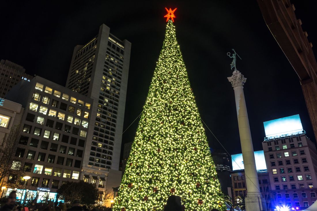 Night view of a giant Christmas tree in San Francisco, California