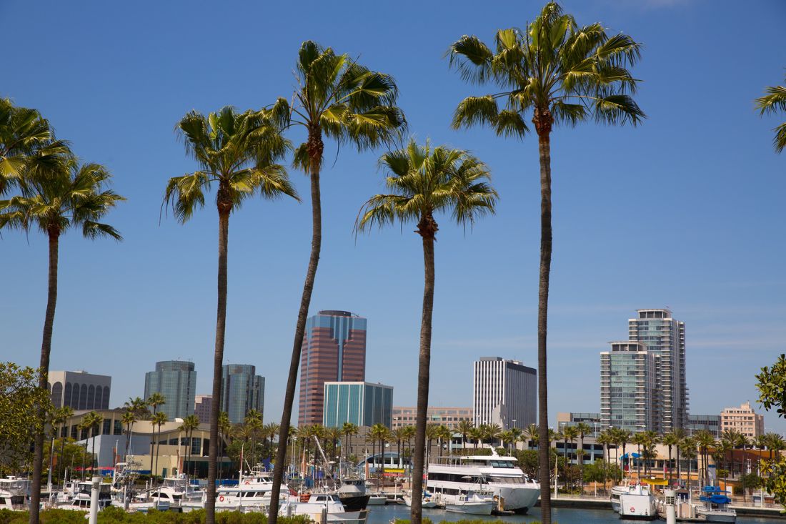Port in Long Beach with palm trees, boats and buildings, California