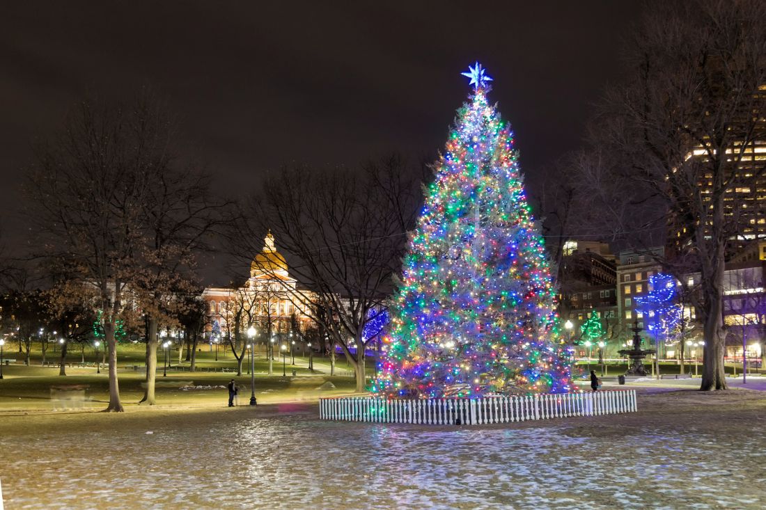 Christmas Tree at Boston Common dark night