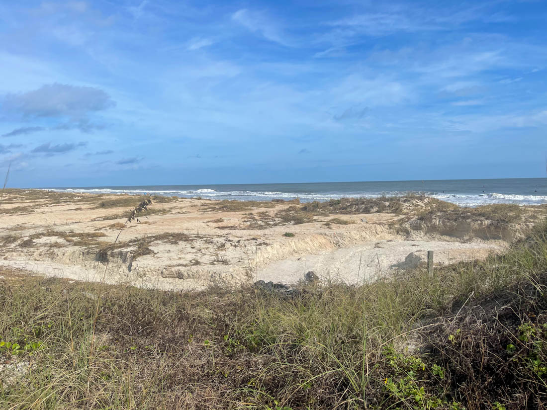 Grass and sand at Augustine Beach dunes St Augustine Florida