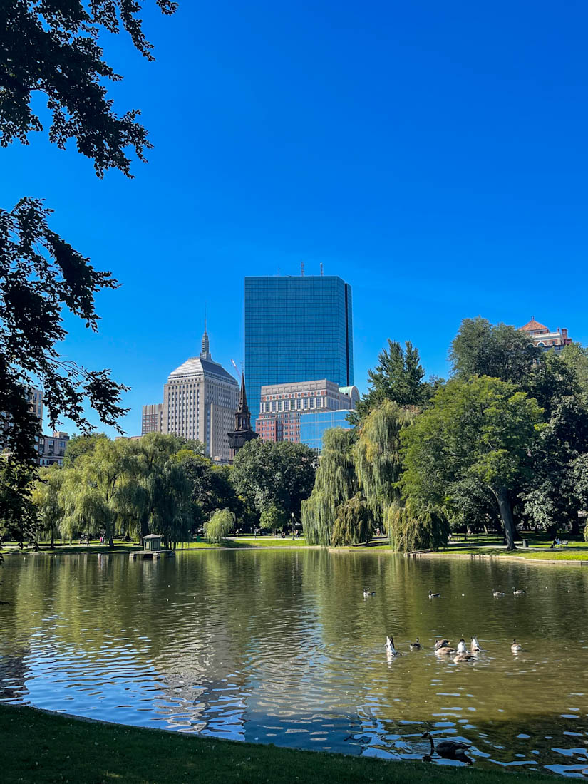 Boston skyline from Boston Public Garden p