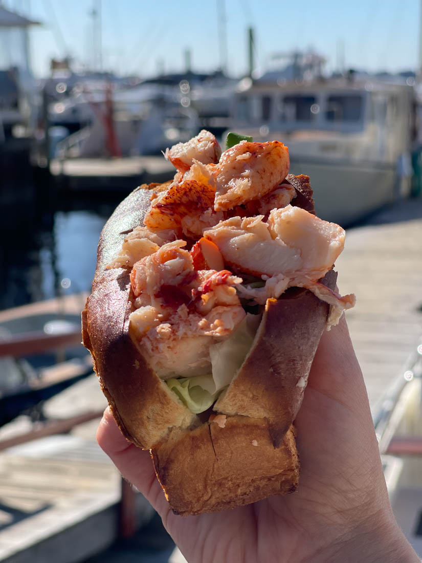 Lobster roll at Marina The Mooring Newport Rhode Island close up