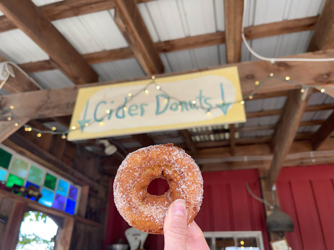 Shelburne Orchards in Vermont cider donuts