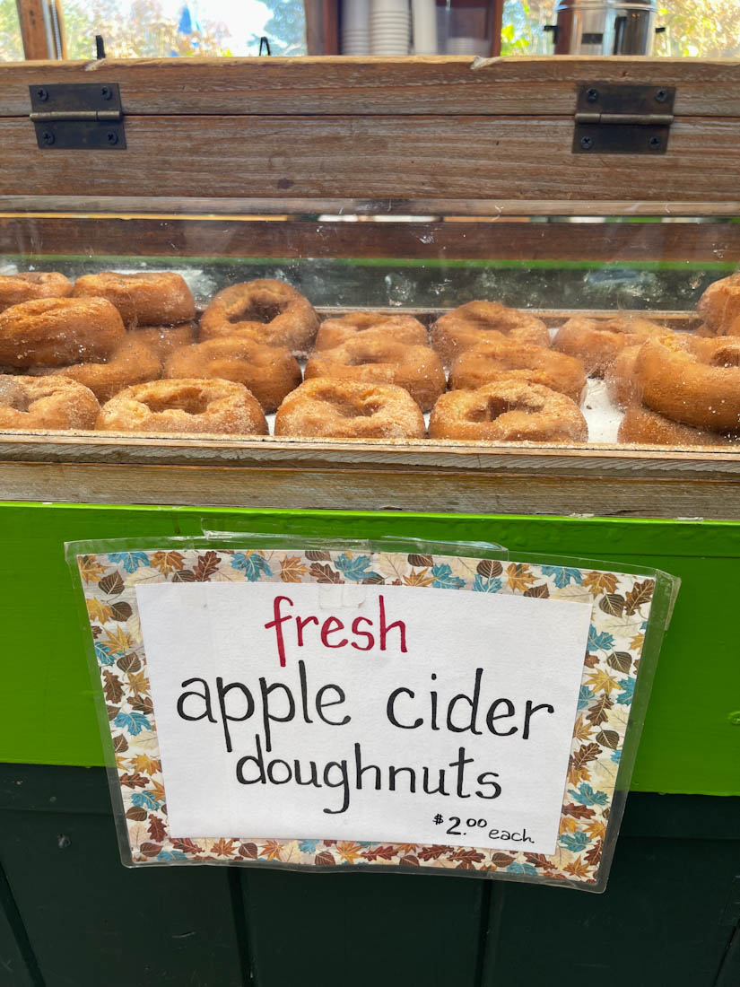 Sweet Berry Farm Middletown Rhode Island apple cider donut