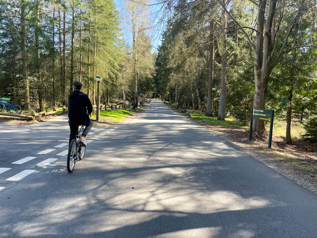 Bike on Center Parcs cycle path Whinfell England