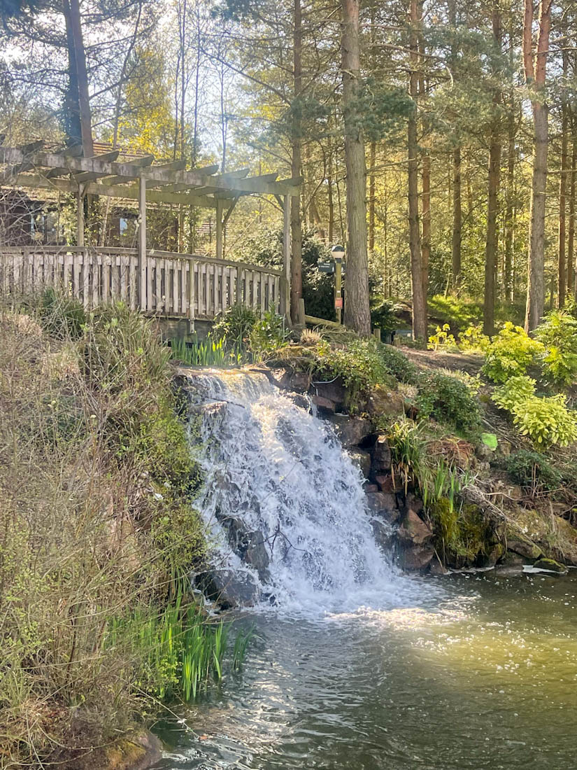 Waterfall flowing in forest in Center Parcs England